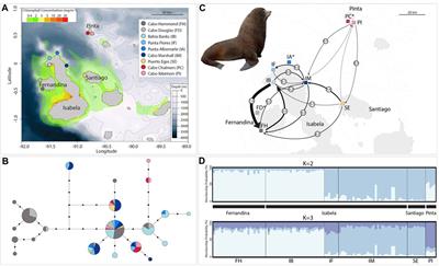 Population Genetics and Phylogeography of Galapagos Fur Seals